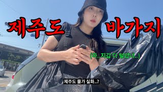 제주 도민들은 그런데 안가요 그런데 알려줘도 안감ㅋ [upl. by Annat603]