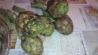 CARCIOFI TRIFOLATI  COME PULIRE I CARCIOFI RICETTA FACILE E VELOCE [upl. by Fia]