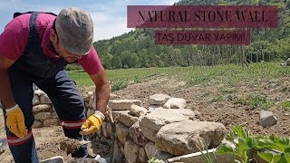 BAĞ EVİ  TAŞ DUVAR YAPIMI  NATURAL STONE WALL stonewall stoneworks bağevi taşduvar [upl. by Elacim]