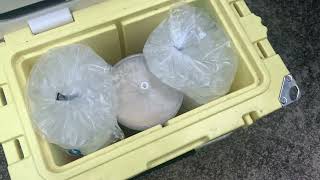 Yukon 20qt cooler perfectly holds homemade ice cream canister and 2 7 lb bags of ice for transport [upl. by Davidson]