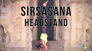 How to Sirsasana Headstand [upl. by Nasia]