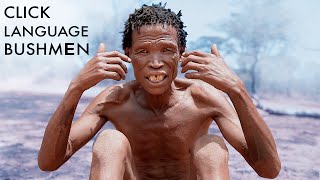 Bushmen Click Language – Ancient dialect of San People Namibia [upl. by Clywd278]