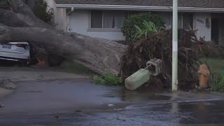 California Storm Watch Power outages flooding and fallen trees  Feb 5 2024 [upl. by Cati]