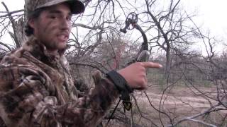 Bowhunting  Heart Shot on Huge Wild Boar Through Fence [upl. by Ycal187]