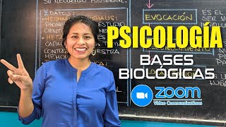 PSICOLOGÍA  Bases biológicas del psiquismo ZOOM [upl. by Lenzi714]