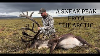 Bow Hunting Alaskan Caribou Hunt  3 Bulls Down [upl. by Gayl461]