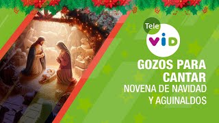 Gozos para la Novena de Navidad🎄 Novena de Aguinaldos TeleVID NovenaNavidad NovenaAguinaldos [upl. by Cirdes489]