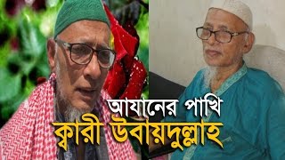 Emotional Beautiful Azan Qari Ubaydullah BD  আযানের পাখি ক্বারী উবায়দুল্লাহ [upl. by Eshelman18]