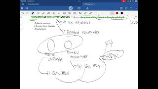 Macrocytic Anemia [upl. by Ori]