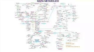 MAPA METABOLICO [upl. by Yeniffit571]