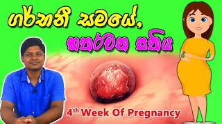 Pregnancy  Tamil  Week 21  வாரம் 21 [upl. by Nadabas]