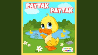 Paytak Paytak Yürürsün [upl. by Ahtael]