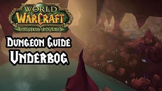 World of Warcraft Burning Crusade Classic  Underbog Heroic and Normal Dungeon Guide [upl. by Gilba]