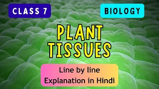 Plant Tissues  ICSE CLASS 7 BIOLOGY  Full Chapter I UNIQUE E LEARNING [upl. by Ydualc]