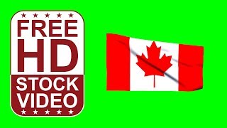 Free Stock Videos – Canada flag waving on green screen 3D animation [upl. by Ynaffet]