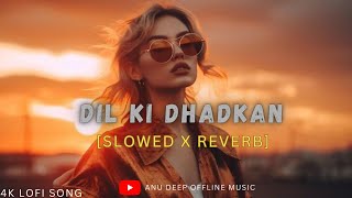 Dil Ki Dhadkan Slowed  Reverb  Mind Fresh Lofi Song Mind Relax Lofi Mashup  Anu Deep Tirkey [upl. by Eadwine]