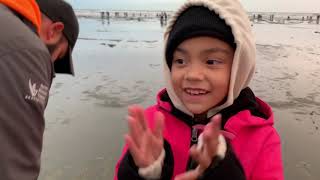 2020 Fall Razor Clam Season is Open [upl. by Beckman]