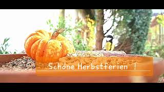 Schöne Herbstferien [upl. by Maidie]