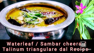 Water leaf Recipe  Singapor Palak  Sambar Cheera  Surinam Purslane  Ceylon Spinach [upl. by Ashlin]