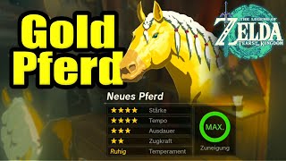 So bekommt ihr das goldene Pferd in Tears of the Kingdom  The Legend of Zelda [upl. by Einahpts]