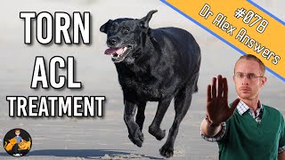 The Best Torn Dog ACL Treatment  Surgery or Home Management  Dog Care Vet Advice [upl. by Auqenaj]