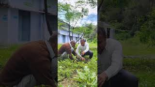 Plantation Drive 2024 [upl. by Albertson]