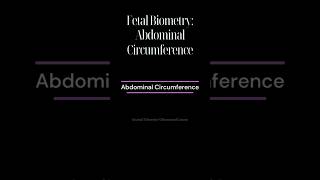 Abdominal Circumference AC [upl. by Aleron]