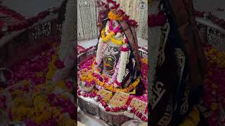 Mogre ki Khushbhoo se mahaktaMahakaleshwar darbar🔱🌹❤️mahakal mahankalujjain mahadev ujjen [upl. by Cogen]