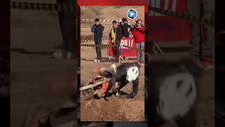 Monday Mood Compilation enduro moto motorbike motorcycles offroad 2stroke endurocrash [upl. by Kosak]