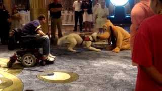 A Service Dog Meets Pluto aboard the Disney Fantasy [upl. by Aivad]