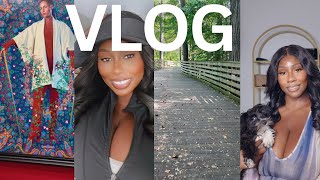 Vlog  Cooking Chicken Bowl Dog Park Solo Date amp Museum Alicia Keys and Swizz Beatz Collection [upl. by Ornstead]