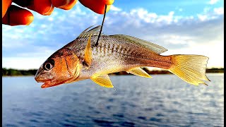 Insane Day Kayak Fishing the Choctawhatchee Bay  Monster Fish Broke my PB [upl. by Ringler]