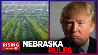 Media FREAKS OUT Over Nebraska Trying To SECURE TRUMP Win 7 Weeks Ahead Of Election [upl. by Efar33]