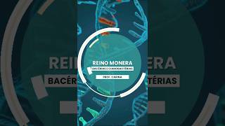 2 EXPLORANDO O REINO MONERA bacteria CIANOBACTERIA ciencia biologia PROCARIONTE [upl. by Wiebmer980]