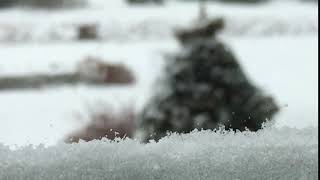 Slow Snow through Window  Animated Moving Video Background [upl. by Anairt]