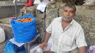 23042024  Idli Vada Sambhar Stall  in South Mumbai  on Napean Sea Road [upl. by Yelsel447]