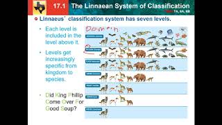 171 Linnaean system of classification [upl. by Barraza771]