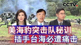 美海豹突击队秘训 插手台海必遭痛击 20240914  CCTV中文《海峡两岸》 [upl. by Nnylyram]