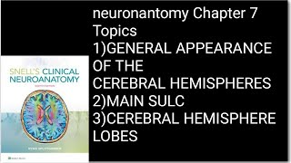 Neuronantomy Chapter 7CEREBRAL HEMISPHERESMAIN SULCI NeuroanatomyNeurosciencesanatomy [upl. by Childs]