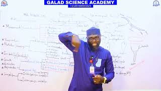 BIOLOGY INTRODUCTION 6  FULL JAMB IJMBE JUPEB AND 100 LEVEL TUTORIAL CLASS GALADSCIENCEACADEMY [upl. by Muffin]