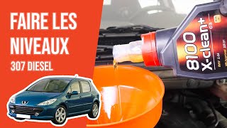 Faire ses niveaux Peugeot 307 20 HDi 📏 [upl. by Ardnohs]