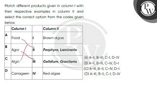 Match different products given in column I with their respective examples in column II and selec [upl. by Eben]