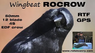 Wingbeat 50mm 10 blade EDF Crow 4S 930mm Rocrow Complete Set  GPS Unboxing [upl. by Bayly]