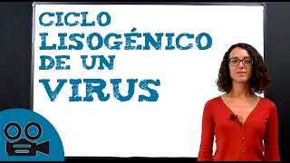 Ciclo lisogénico de un virus [upl. by Kan]