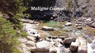 Maligne Canyon  Hiking Trail  Jasper National Park Alberta Canada [upl. by Jehovah786]