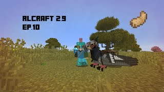 RLCraft 29 Taming a Hippogriff Ep10 [upl. by Yatnuahs]