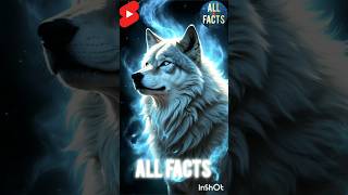 Wolves the Incredible Facts and the lies shorts [upl. by Bobette]