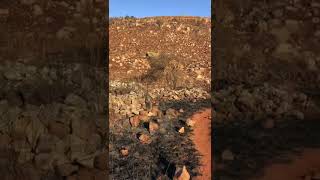 Stone Circles  Waterval Boven [upl. by Cleave]