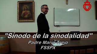 “Sínodo de la sinodalidad” Conferencia del Padre Mario TrejoFSSPX [upl. by Yewed]