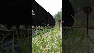 new steamtrain railroader trainsimulation shorts trains railroad train trainsim steamengine [upl. by Beverle818]